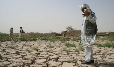 Fas'ta kuraklık nedeniyle 'çevre felaketi' uyarısı