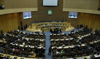 Cezayir: Afrika kıtası uluslararası toplum nezdinde daha fazla söz sahibi olmalı