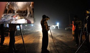 Müslümanları vahşice katlediyorlar: Mesele yine inekler