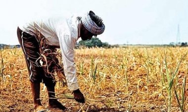 Küresel sıcaklık artışı 1,6 trilyon dolarlık ekonomik kayba neden olabilir