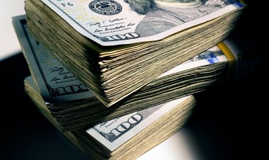 ABD Gizli Servisi: En az 100 milyar dolarlık Kovid-19 yardım parası çalındı