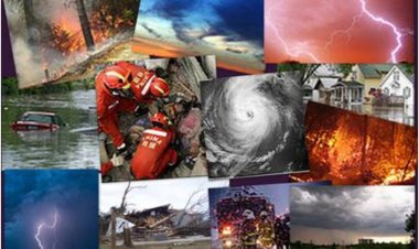 2021'de dünya doğal afetlerle sarsıldı