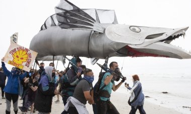 Shell'in Güney Afrika kıyılarındaki sismik araştırmaları mahkeme kararıyla durduruldu