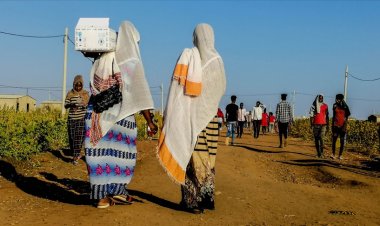 Dünya Gıda Programı, Sudan'da tonlarca gıdanın yağmalanması üzerine yardımları durdurdu