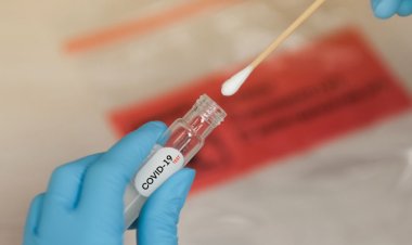 ABD'de vaka sayısında yeni bir rekor