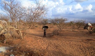 Somali'de kuraklık tehlikesi: 2 milyon kişi etkilenecek