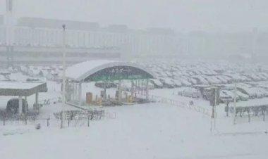 Japonya'da uçak ve tren seferlerine, kar engeli