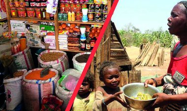 Artan gıda fiyatları, milyonlarca insanı tehdit ediyor