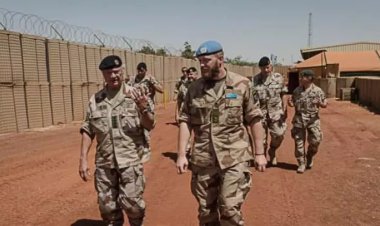 İsveç hükümeti askerlerini Mali'den çekmeyi planlıyor