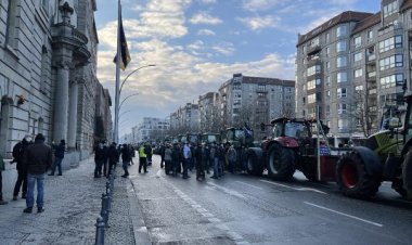Alman çiftçiler tarım politikalarında reform talep ediyor