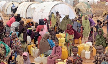 IOM: Somali'de son 40 yılın en ağır su kıtlığı yaşanıyor