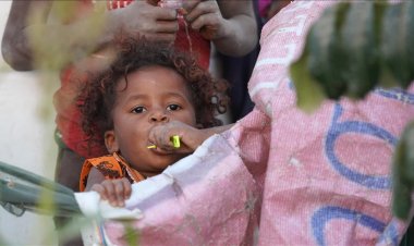"Yemenliler, ağaç yaprakları yiyerek hayatta kalmaya çalışıyor"