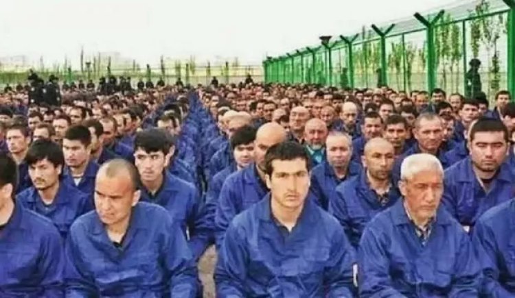 "İslam dünyası Doğu Türkistan'da yaşananları soykırım olarak tanımalı"