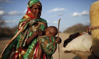 Afrika Boynuzu'nda milyonlarca kişi kıtlıkla mücadele ediyor