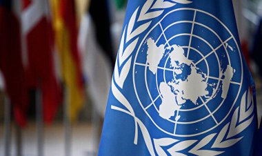 BM'den "Yunanistan'ın göçmenleri geri itmesine" acil soruşturma çağrısı