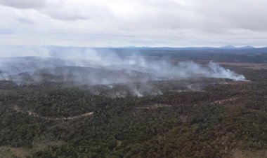 Şili'de orman yangını: Bin 235 hektarlık alan kül oldu