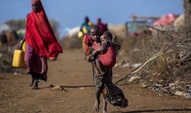 Nijerya'da 1,4 milyon çocuk yetersiz beslenme tehlikesiyle karşı karşıya