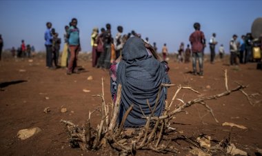 BM, Somali'de hayvancılığa destek programı başlattı