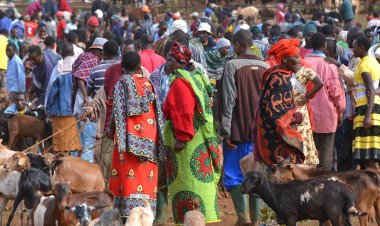 Masailer topraklarında kalmak için 2,3 milyon imza topladı