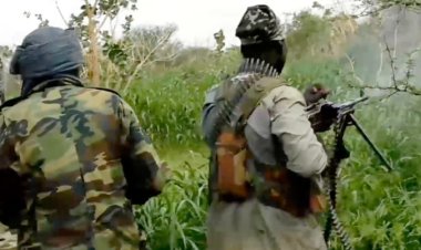 Mali'de ordu güçlerine saldırı: 8 ölü