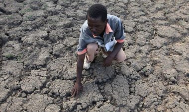 IGAD: Doğu Afrika'daki kuraklığa karşı hemen ve hızlı hareket edilmeli