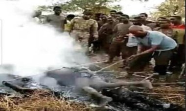 Etiyopya'da sivillerin yakılarak öldürüldüğü görüntülere soruşturma