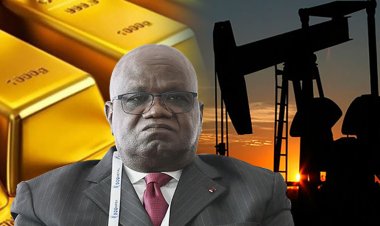 Kongo'dan Türkiye'ye maden işletme ve inşaat teklifi