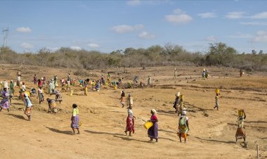 Kenya'da kuraklık nedeniyle 2,8 milyon kişi acil yardıma muhtaç
