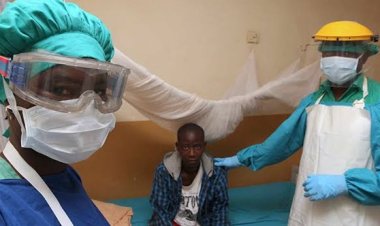 Lassa ateşinden ölenlerin sayısı artıyor