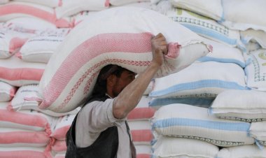 Gıda fiyatları küresel çapta rekor düzeyde