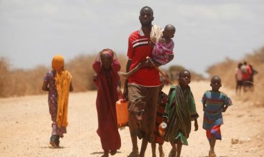 Afrika'da 40 yılın en şiddetli kuraklığı yaşanıyor