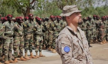 AB, Mali ordusuna yönelik eğitim misyonlarını askıya aldı