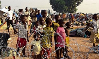 BM: Doğu Afrika'daki mülteciler umutsuz bir gelecekle karşı karşıya