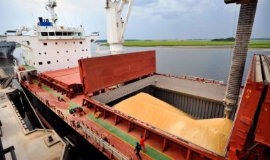 Tahıl koridorunda taşınan tahıl miktarı 1 milyon tonu geçti