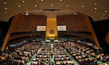 Güney Afrika: BM Güvenlik Konseyi küresel barışı korumada güvenilmezliğini kanıtladı