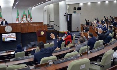 Cezayir'de bir milletvekili Fransa’ya çalışan paralı asker çıktı