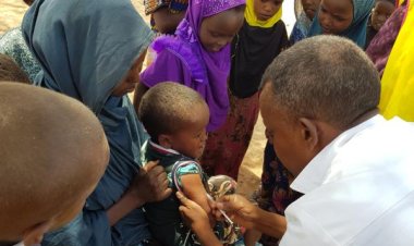 DSÖ: Afrika'da 1 milyon çocuk sıtmaya karşı aşılandı