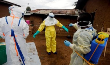 Kongo'da Ebola salgını ilan edildi