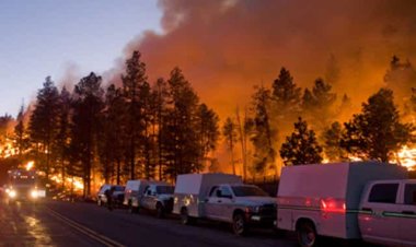 ABD'de yangınların vurduğu New Mexico eyaleti 'afet bölgesi' ilan edildi