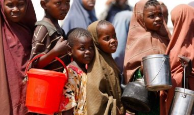 BM: Küresel açlık krizine karşı Ukrayna limanları acilen açılmalı