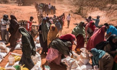 Almanya küresel kıtlık konusunda endişeli