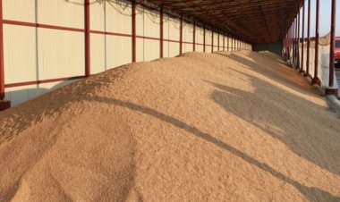 Ukrayna milyonlarca ton tahıl stokunun ihracı için çözüm arayışında