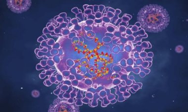 ABD'de 7 eyalette maymun çiçeği vakası görüldü