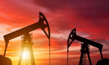 Almanya: Petrol ve doğalgaz üreten ülkeleri ikna etmeye çalışıyoruz