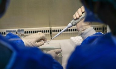 Maymun çiçeği virüsü dünyanın gündeminde