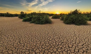 İklim felaketleri için gereken fon miktarı 20 yılda yüzde 800 arttı