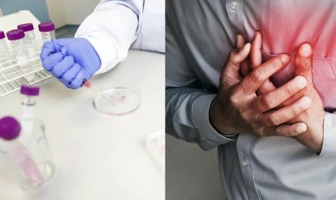 Kalp krizinin verdiği hasarı onarması için yeni jel geliştirildi