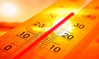 Avrupa'da "kavurucu sıcaklıklar" etkili oluyor