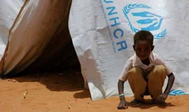 "Barış, mülteci durumunun sona ermesinin çözümüdür"