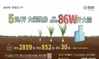 Çin'de bir şirket buğday ve sarımsak karşılığında ev takasına başladı